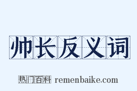 帅长反义词是什么意思的图片